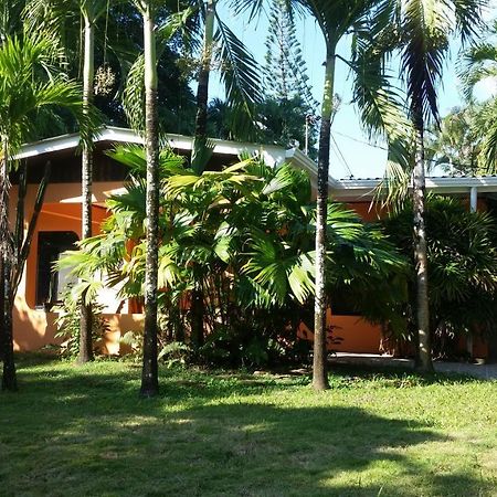 Embassy House Bed and Breakfast Puerto Jiménez Eksteriør billede