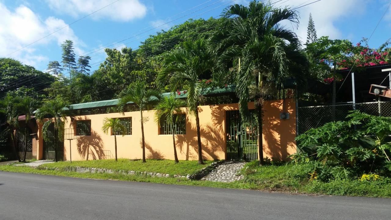Embassy House Bed and Breakfast Puerto Jiménez Eksteriør billede